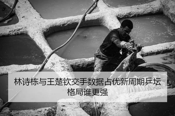 林诗栋与王楚钦交手数据占优新周期乒坛格局谁更强
